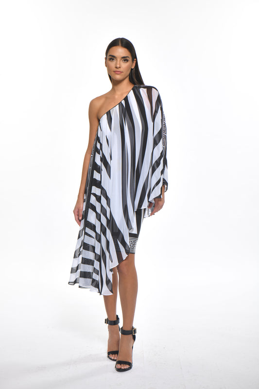 Dress - Zebra
