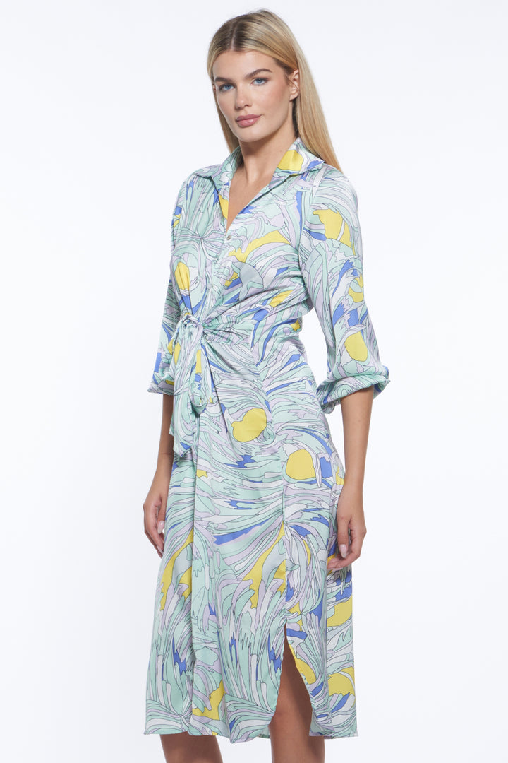 August Button Front Midi Dress