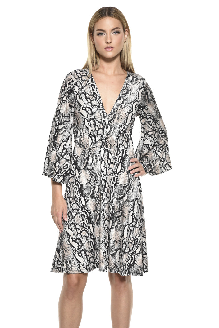 Frank Deep V-Neck Mini Dress