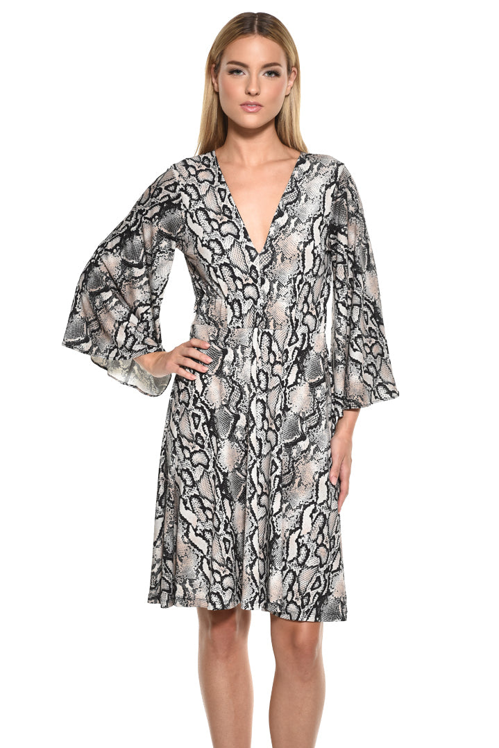 Frank Deep V-Neck Mini Dress