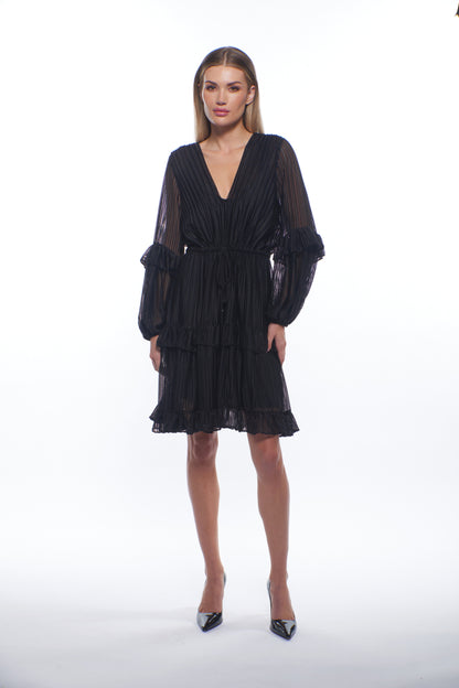 Julisa Sheer Pleated Mini Dress