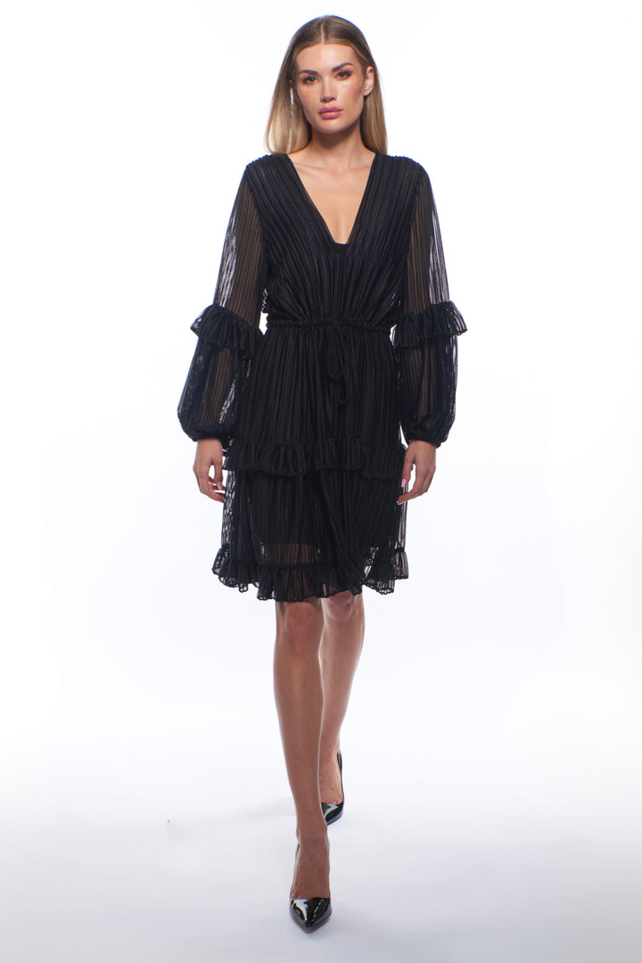 Julisa Sheer Pleated Mini Dress