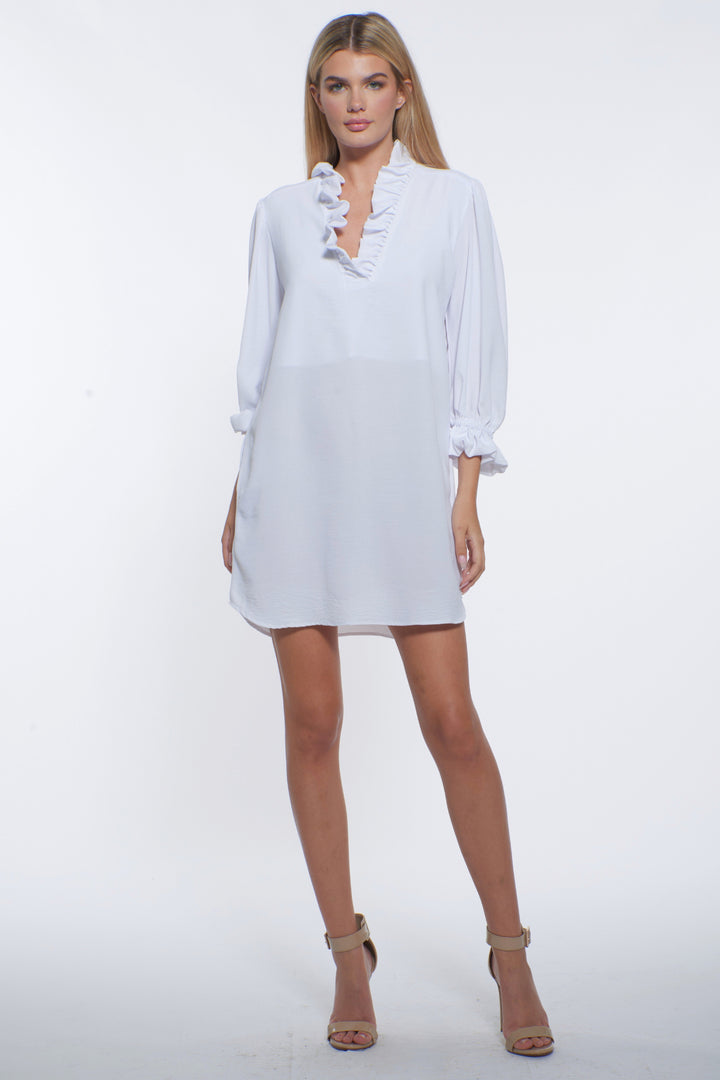 Unica Ruffle Collared Mini Dress
